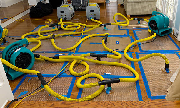 Professional Structural Drying And Dehumidification technician working in Ashwood, OR